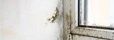 Judge Orders Seller to Pay Homeowner R400K for Concealing Defects