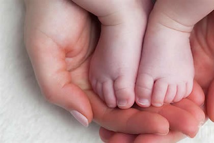 Pocketbook Fast Facts On Parental, Surrogacy And Adoption Leave